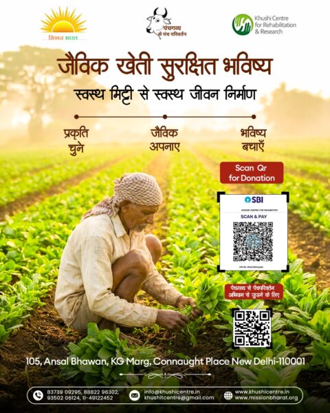 Panchgavya for Health and Wellness