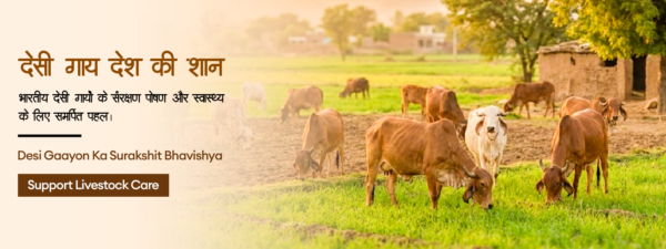 Panchgavya for Organic Agriculture